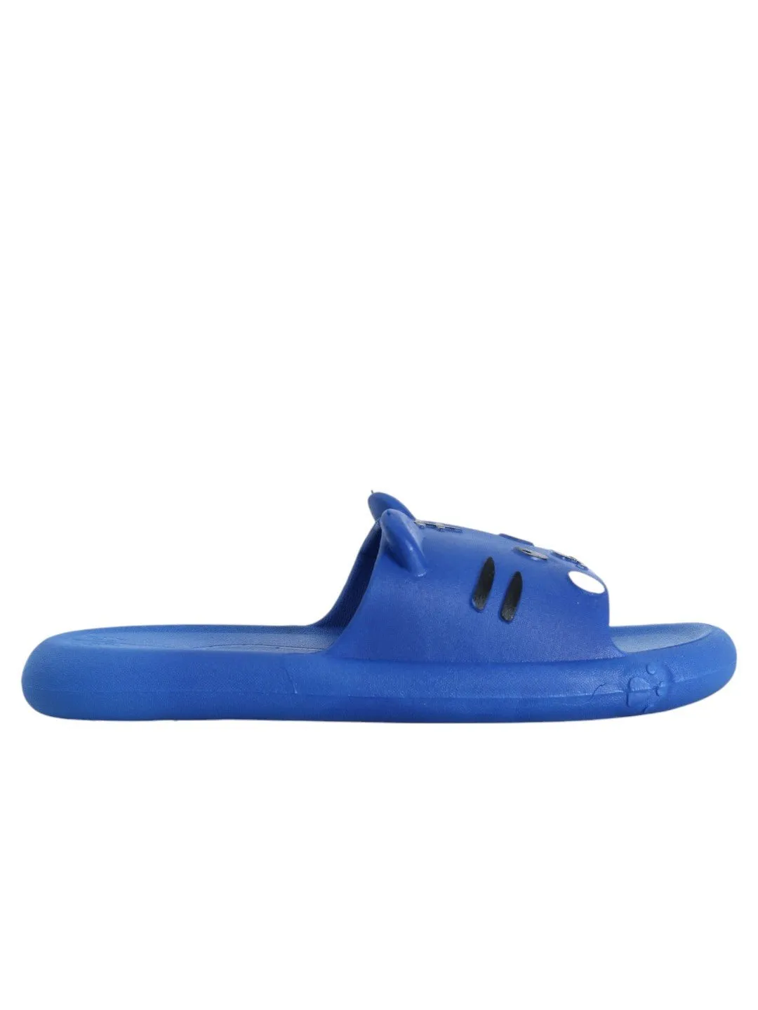 Playful Blue Cat-Themed Slides for Boys